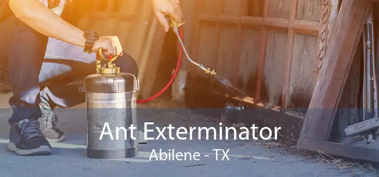 Ant Exterminator Abilene - TX