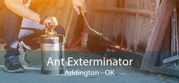 Ant Exterminator Addington - OK
