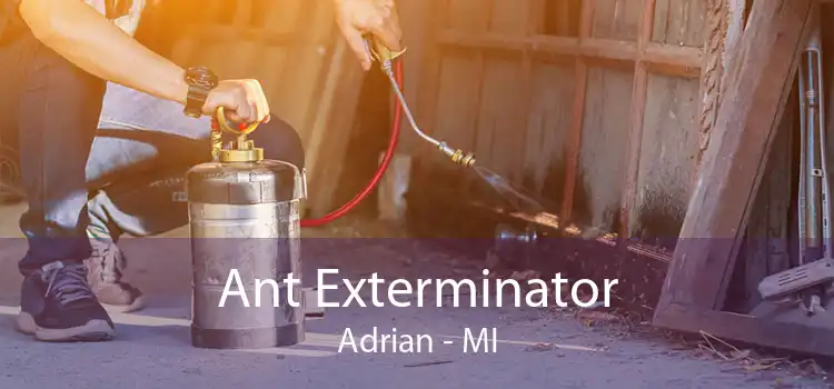 Ant Exterminator Adrian - MI