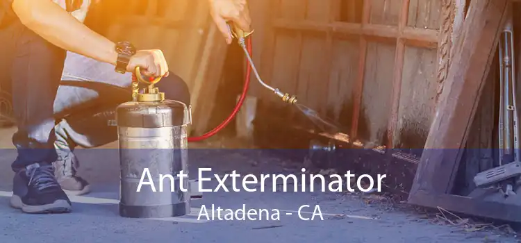 Ant Exterminator Altadena - CA