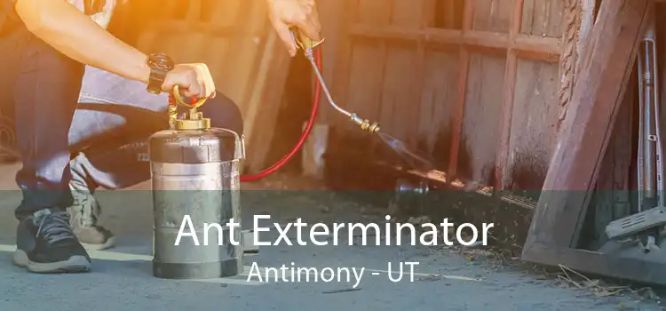 Ant Exterminator Antimony - UT