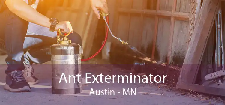 Ant Exterminator Austin - MN