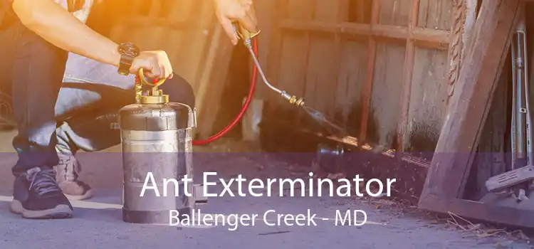 Ant Exterminator Ballenger Creek - MD