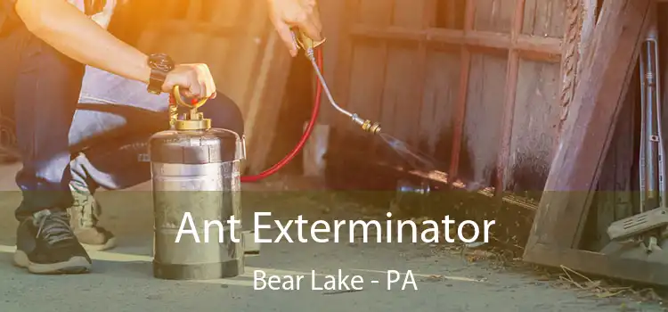  Ant Exterminator Bear Lake - PA