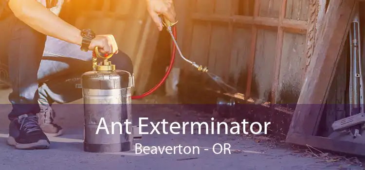 Ant Exterminator Beaverton - OR