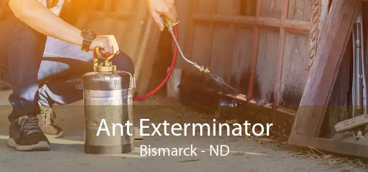 Ant Exterminator Bismarck - ND