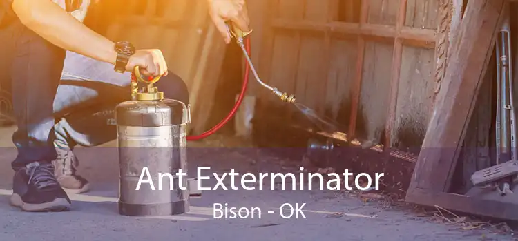 Ant Exterminator Bison - OK