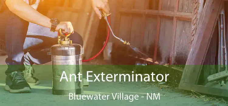  Ant Exterminator Bluewater Village - NM