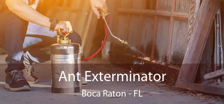  Ant Exterminator Boca Raton - FL
