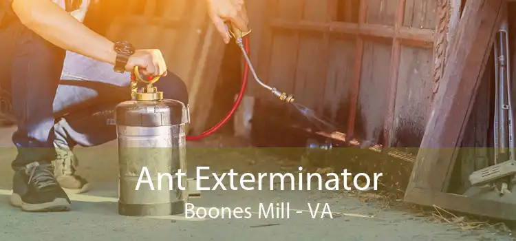 Ant Exterminator Boones Mill - VA