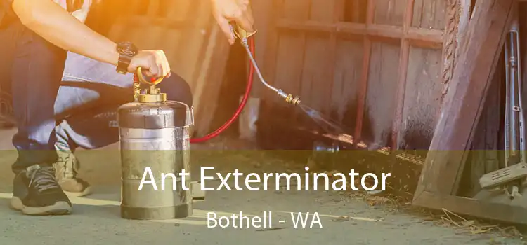 Ant Exterminator Bothell - WA