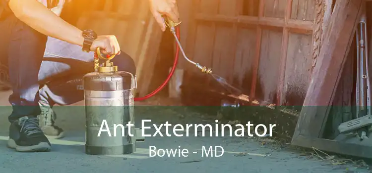 Ant Exterminator Bowie - MD