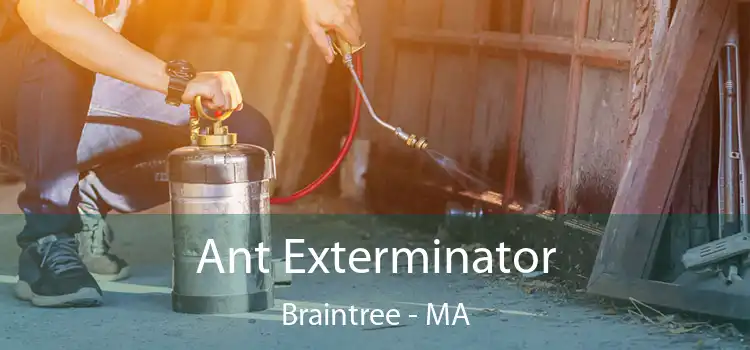  Ant Exterminator Braintree - MA