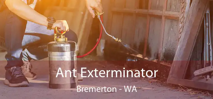 Ant Exterminator Bremerton - WA