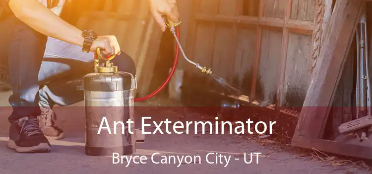 Ant Exterminator Bryce Canyon City - UT