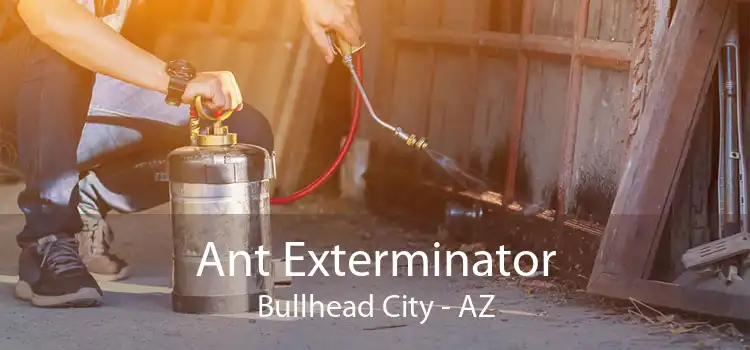 Ant Exterminator Bullhead City - AZ