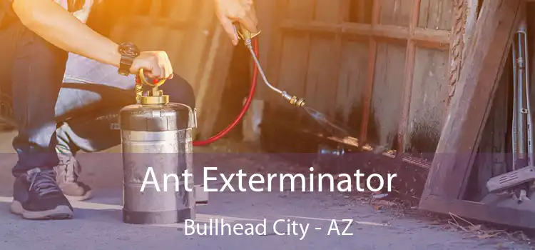  Ant Exterminator Bullhead City - AZ