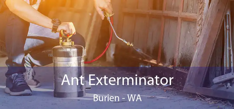 Ant Exterminator Burien - WA