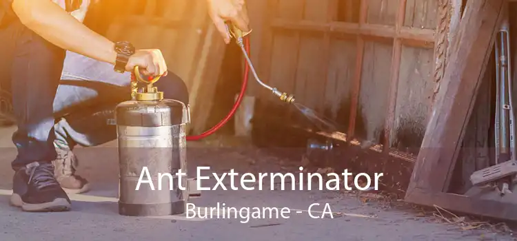 Ant Exterminator Burlingame - CA