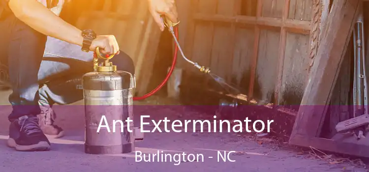  Ant Exterminator Burlington - NC
