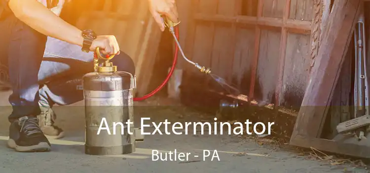  Ant Exterminator Butler - PA
