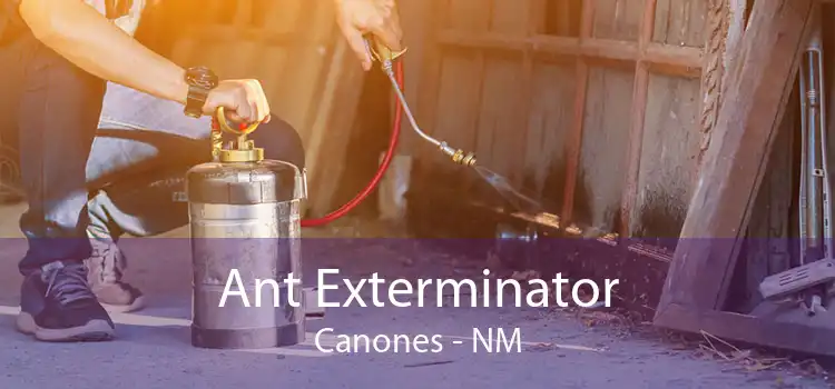 Ant Exterminator Canones - NM