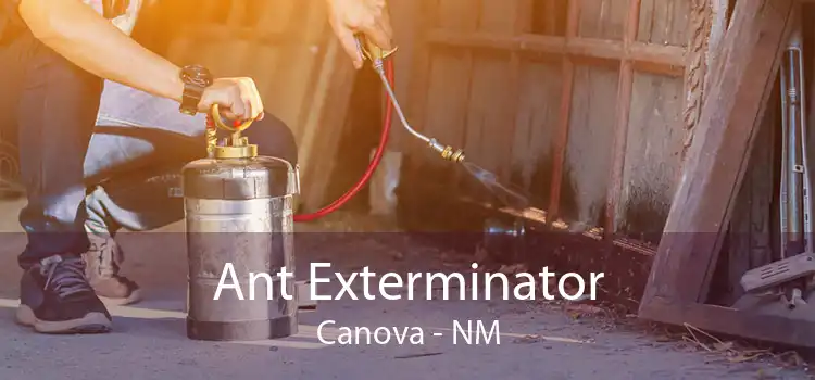 Ant Exterminator Canova - NM