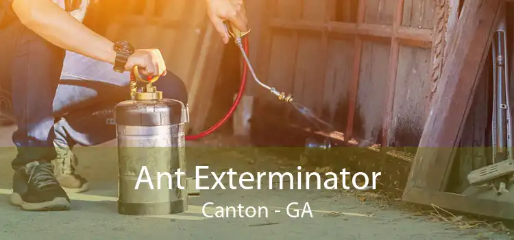 Ant Exterminator Canton - GA