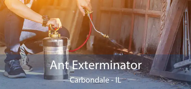  Ant Exterminator Carbondale - IL