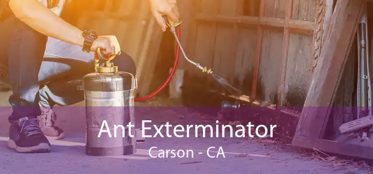 Ant Exterminator Carson - CA