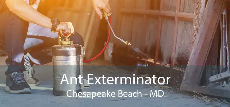 Ant Exterminator Chesapeake Beach - MD