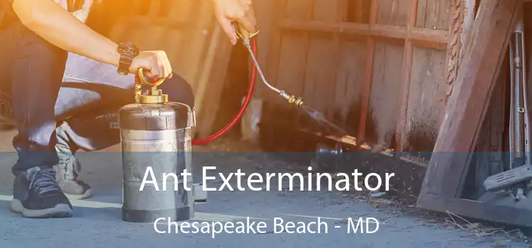  Ant Exterminator Chesapeake Beach - MD