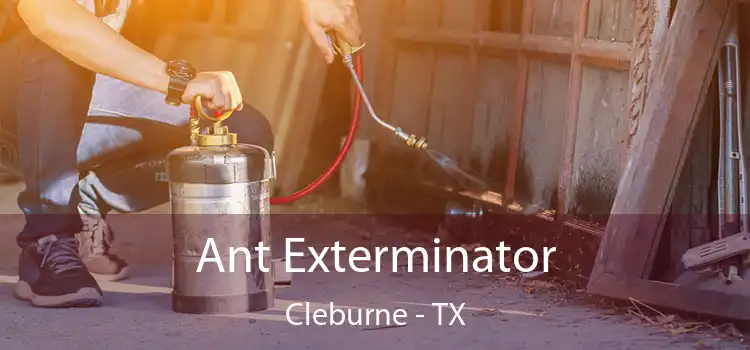  Ant Exterminator Cleburne - TX