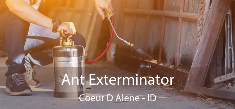  Ant Exterminator Coeur D Alene - ID