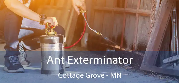  Ant Exterminator Cottage Grove - MN