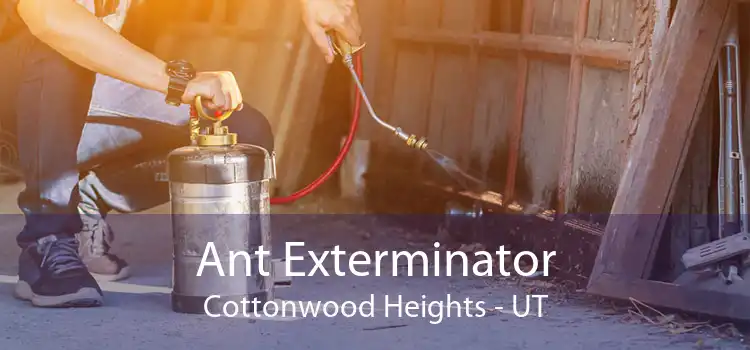 Ant Exterminator Cottonwood Heights - UT