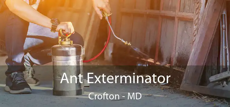 Ant Exterminator Crofton - MD