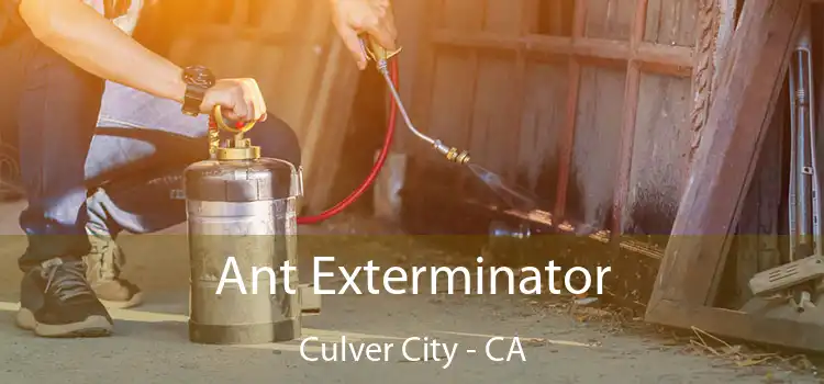  Ant Exterminator Culver City - CA