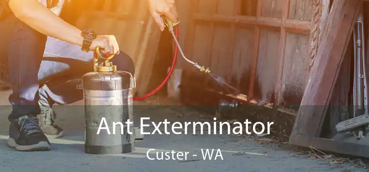 Ant Exterminator Custer - WA