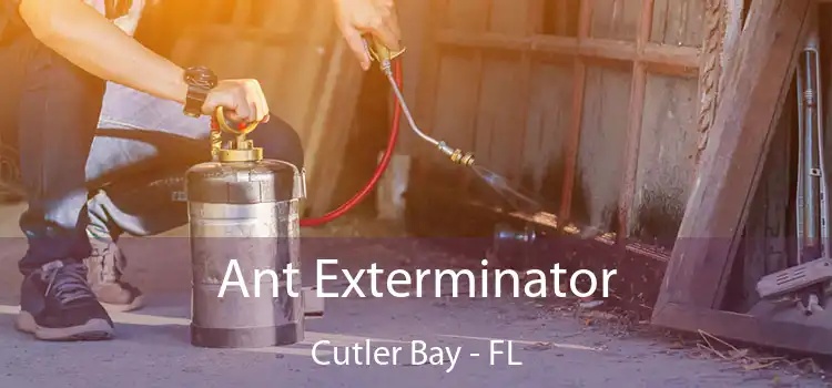  Ant Exterminator Cutler Bay - FL