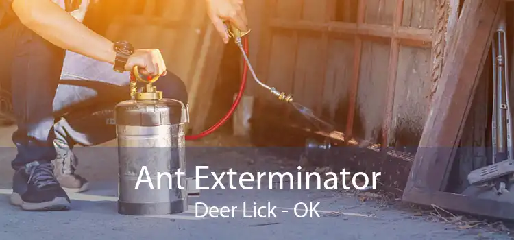 Ant Exterminator Deer Lick - OK