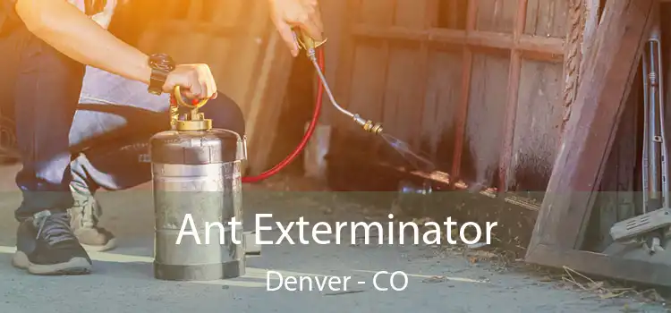  Ant Exterminator Denver - CO