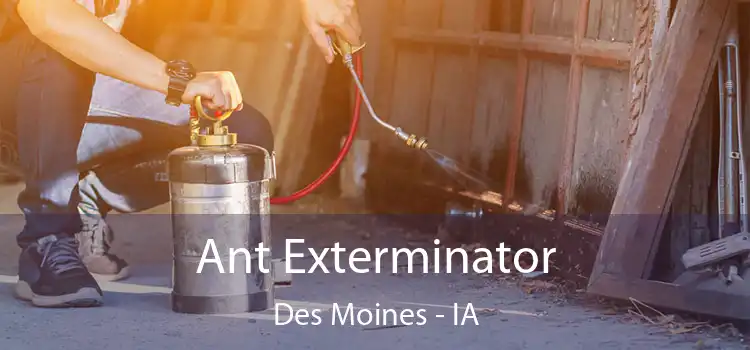 Ant Exterminator Des Moines - IA