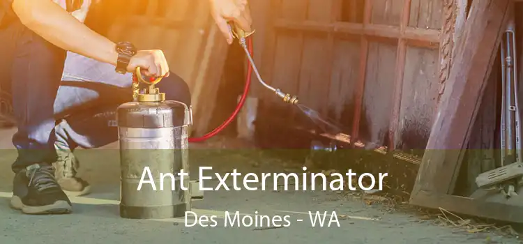  Ant Exterminator Des Moines - WA