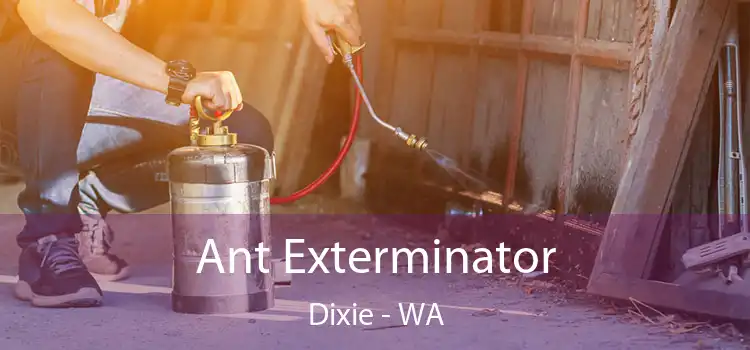 Ant Exterminator Dixie - WA