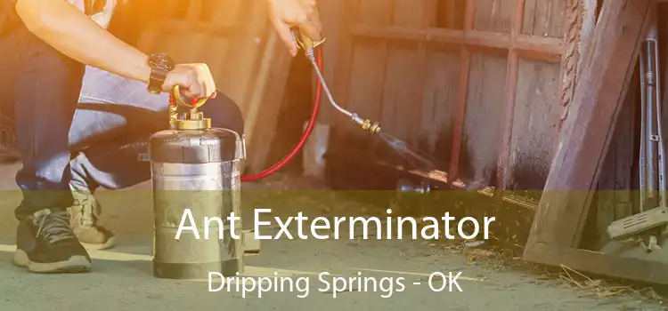  Ant Exterminator Dripping Springs - OK