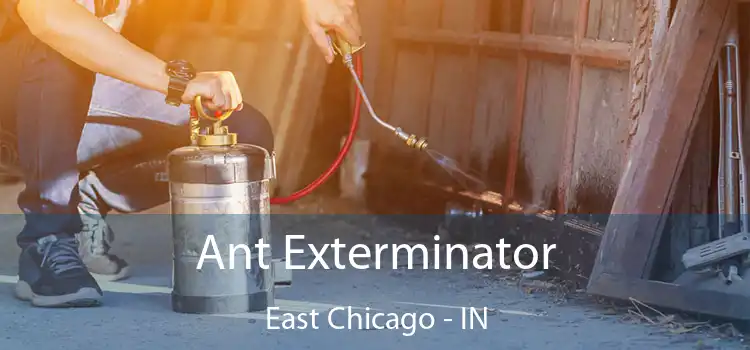  Ant Exterminator East Chicago - IN