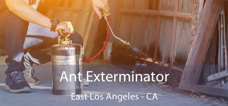  Ant Exterminator East Los Angeles - CA