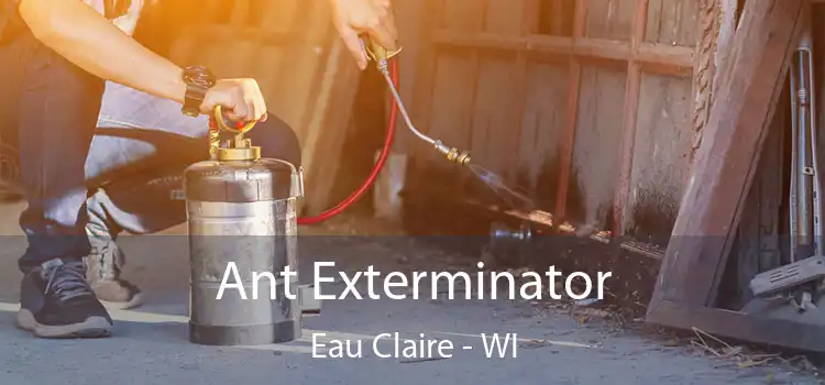  Ant Exterminator Eau Claire - WI