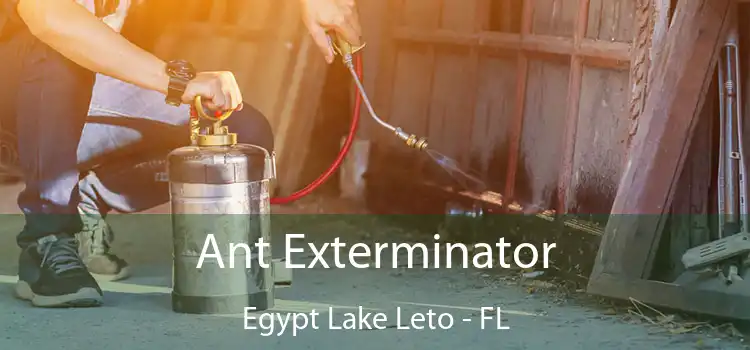  Ant Exterminator Egypt Lake Leto - FL